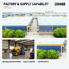 Luhongda factory buildings and workshop where the LHD-YL1200 double drum road roller is manufactured and prepared for export